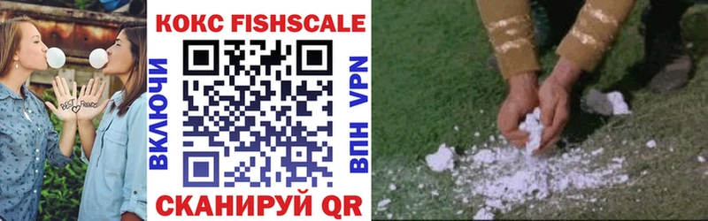 Купить где  Радужный  Кокаин Fish Scale 