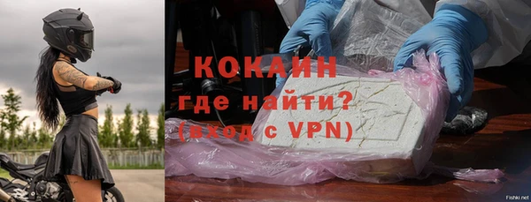 ПСИЛОЦИБИНОВЫЕ ГРИБЫ Горняк