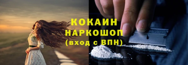 соль курить ск Горно-Алтайск