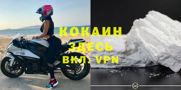ПСИЛОЦИБИНОВЫЕ ГРИБЫ Горняк