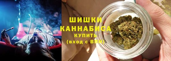 ПСИЛОЦИБИНОВЫЕ ГРИБЫ Горняк