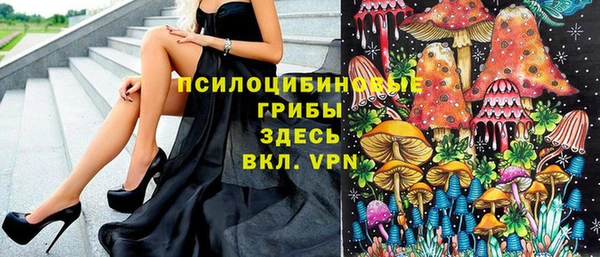 ПСИЛОЦИБИНОВЫЕ ГРИБЫ Горняк